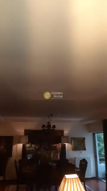 Οροφοδιαμέρισμα 171τ.μ. προς ενοικίαση φωτογραφία 14