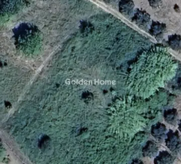 Αγροτεμάχιο 4000τ.μ. προς πώληση φωτογραφία 5378233