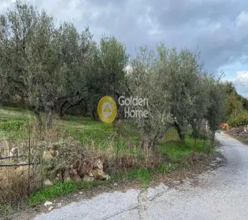 Residential 1228m<sup>2</sup> for sale photo 1