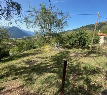 Residential 1753m<sup>2</sup> for sale photo 3502029