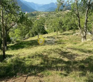 Residential 1753m<sup>2</sup> for sale photo 3502085