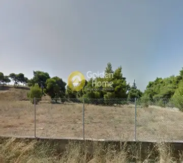 Αγροτεμάχιο 3643τ.μ. προς πώληση φωτογραφία 1