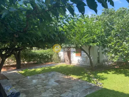 Μονοκατοικία 256τ.μ. προς πώληση φωτογραφία 37