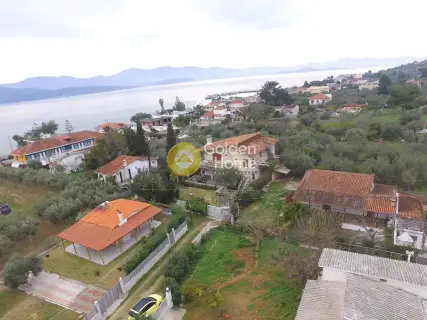 Μονοκατοικία 256τ.μ. προς πώληση φωτογραφία 42
