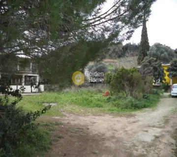 Κτίριο 380τ.μ. προς πώληση φωτογραφία 3