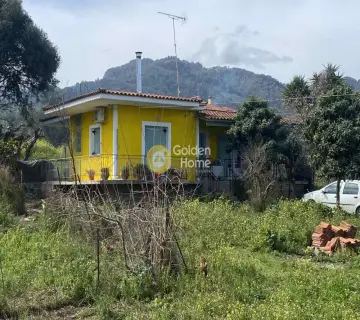 Golden Home Property Image