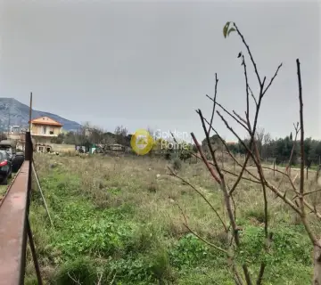 Αγροτεμάχιο 1196τ.μ. προς πώληση φωτογραφία 3511197