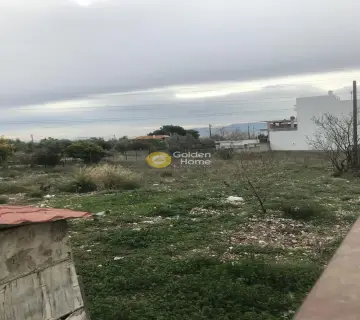 Αγροτεμάχιο 1196τ.μ. προς πώληση φωτογραφία 3511200