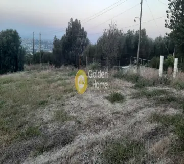 Residential 4522m<sup>2</sup> for sale photo 3780837
