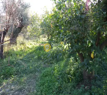 Μονοκατοικία 85τ.μ. προς πώληση φωτογραφία 3