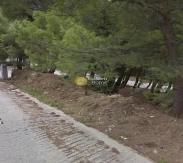 Οικιστικό 800τ.μ. προς πώληση φωτογραφία 1