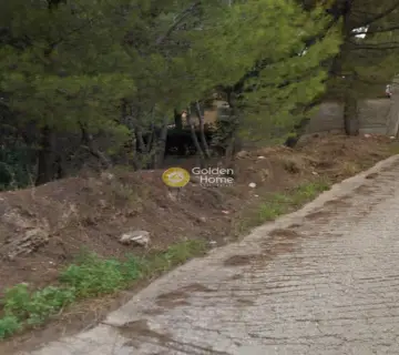 Οικιστικό 800τ.μ. προς πώληση φωτογραφία 5