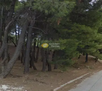Οικιστικό 800τ.μ. προς πώληση φωτογραφία 2