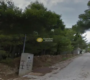 Οικιστικό 800τ.μ. προς πώληση φωτογραφία 9