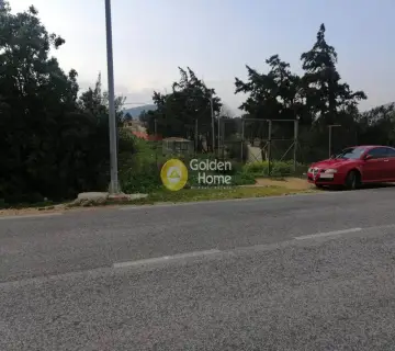 Επαγγελ. Οικόπεδο 5600τ.μ. προς πώληση φωτογραφία 4