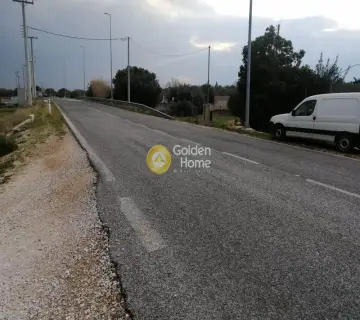 Επαγγελ. Οικόπεδο 5600τ.μ. προς πώληση φωτογραφία 8