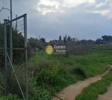 Επαγγελ. Οικόπεδο 5600τ.μ. προς πώληση φωτογραφία 5