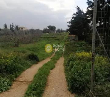Επαγγελ. Οικόπεδο 5600τ.μ. προς πώληση φωτογραφία 7