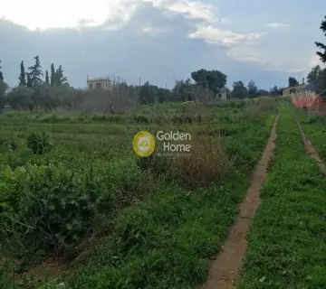 Επαγγελ. Οικόπεδο 5600τ.μ. προς πώληση φωτογραφία 1