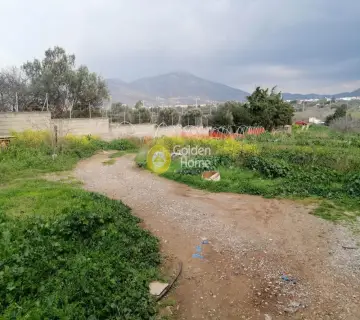 Επαγγελ. Οικόπεδο 5600τ.μ. προς πώληση φωτογραφία 2