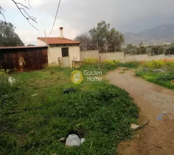 Επαγγελ. Οικόπεδο 5600τ.μ. προς πώληση φωτογραφία 3