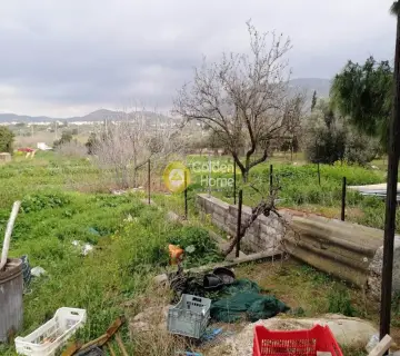 Επαγγελ. Οικόπεδο 5600τ.μ. προς πώληση φωτογραφία 9