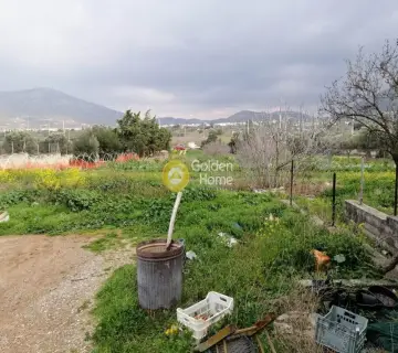Επαγγελ. Οικόπεδο 5600τ.μ. προς πώληση φωτογραφία 10