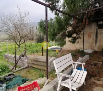 Επαγγελ. Οικόπεδο 5600τ.μ. προς πώληση φωτογραφία 11