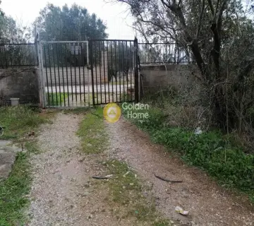Επαγγελ. Οικόπεδο 5600τ.μ. προς πώληση φωτογραφία 12