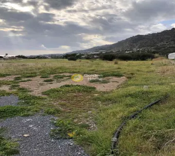 Residential 3800m<sup>2</sup> for sale photo 3532358