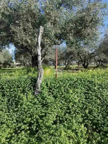 Residential 400m<sup>2</sup> for sale photo 1