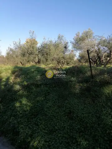 Residential 400m<sup>2</sup> for sale photo 7