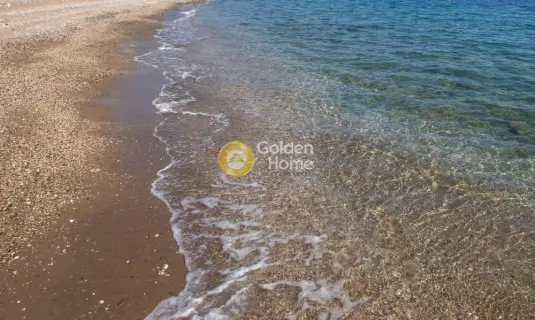 Μονοκατοικία 240τ.μ. προς πώληση φωτογραφία 51