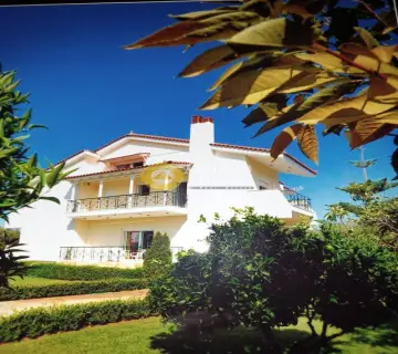 Μονοκατοικία 250τ.μ. προς πώληση φωτογραφία 6