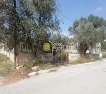 Residential 2000m<sup>2</sup> for sale photo 6
