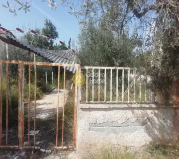 Residential 2000m<sup>2</sup> for sale photo 23