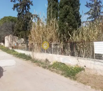 Residential 1200m<sup>2</sup> for sale photo 5