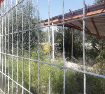 Residential 1200m<sup>2</sup> for sale photo 12