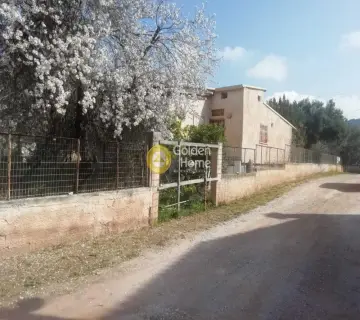 Residential 1200m<sup>2</sup> for sale photo 11