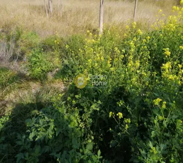 Professional Plot 1333m<sup>2</sup> for sale photo 4