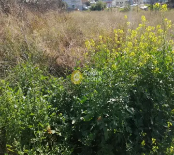 Professional Plot 1333m<sup>2</sup> for sale photo 2