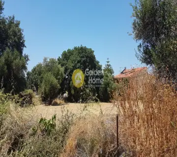 Professional Plot 2000m<sup>2</sup> for sale photo 3534989