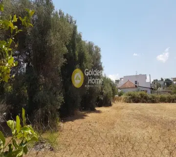 Professional Plot 2000m<sup>2</sup> for sale photo 3534992