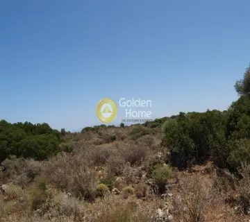 Αγροτεμάχιο 22000τ.μ. προς πώληση φωτογραφία 2