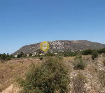 Αγροτεμάχιο 22000τ.μ. προς πώληση φωτογραφία 5