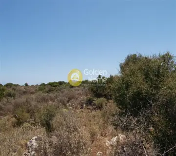 Αγροτεμάχιο 22000τ.μ. προς πώληση φωτογραφία 3