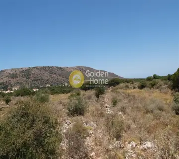 Αγροτεμάχιο 22000τ.μ. προς πώληση φωτογραφία 4
