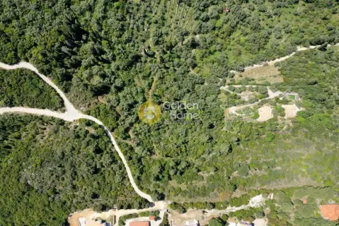 Οικιστικό 5000τ.μ. προς πώληση φωτογραφία 3