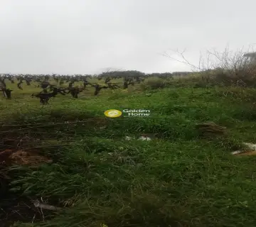 Οικιστικό 1000τ.μ. προς πώληση φωτογραφία 6