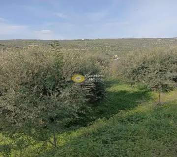 Residential 5300m<sup>2</sup> for sale photo 1